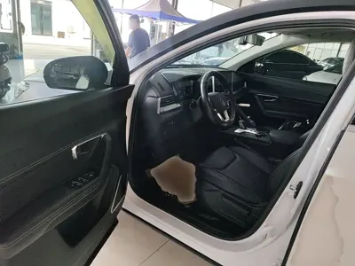 BYD Pro