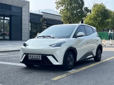 BYD Seagull