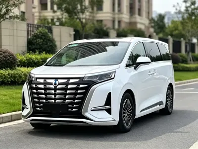Denza Denza D9