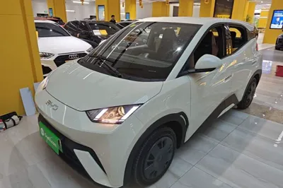 BYD Seagull