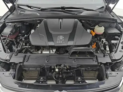 BYD Tang New Energy