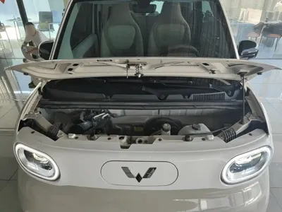 Wuling MINIEV