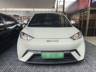 BYD Seagull