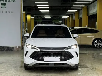 BYD L DM-i