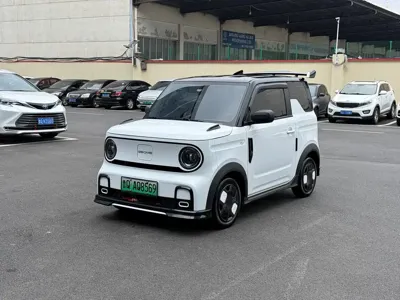 Galaxy Panda