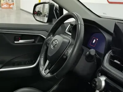 Toyota Wildlander
