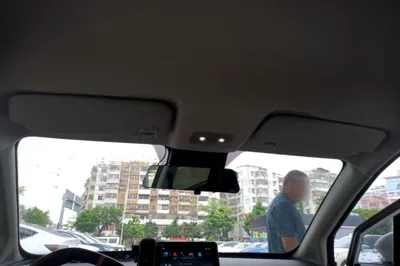 NETA V