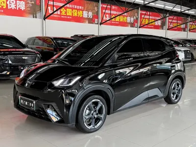 BYD Seagull
