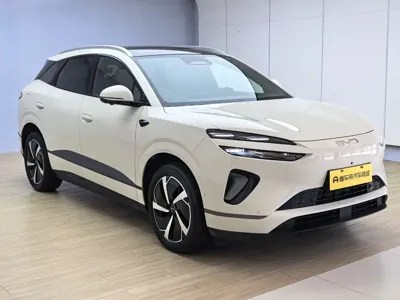 BYD 海狮06