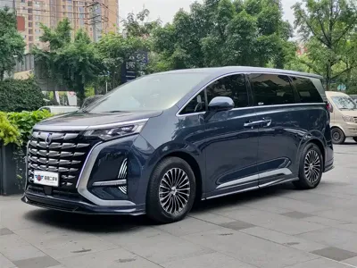 Denza Denza D9