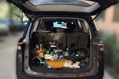 Wuling Jiachen