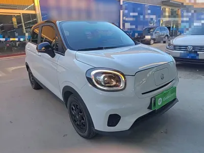 Leapmotor Leapmotor T03