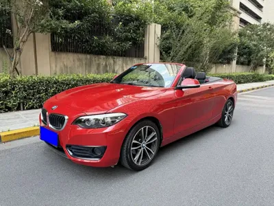 BMW 2 Series (Import)