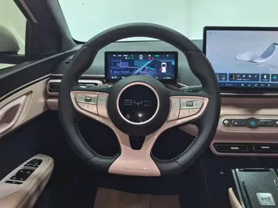 BYD Seagull