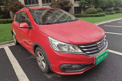 Baojun 310