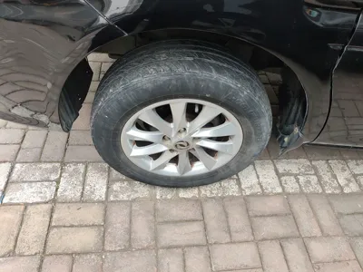 Forthing Lingzhi