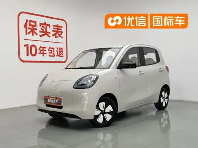Wuling MINIEV
