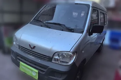 Wuling Zhiguang