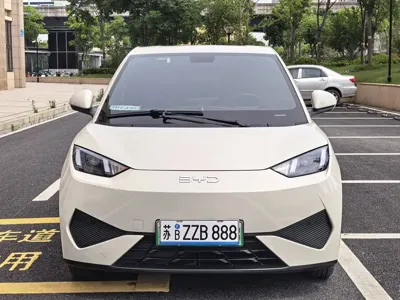 BYD Seagull