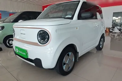 Geely Galaxy Panda