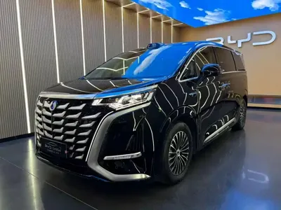 Denza Denza D9