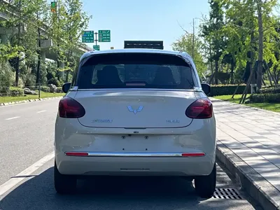 Wuling Bingo