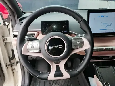 BYD Seagull