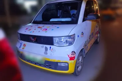 Wuling Hongguang MINIEV