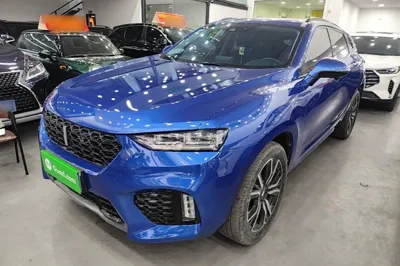WEY VV7