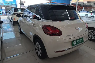 Wuling Bingo