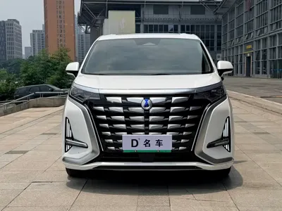 Denza Denza D9