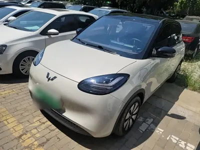 Wuling Bingo