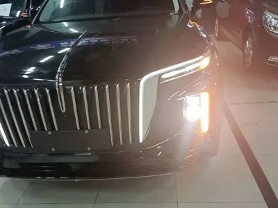 Hongqi Hongqi E-HS9