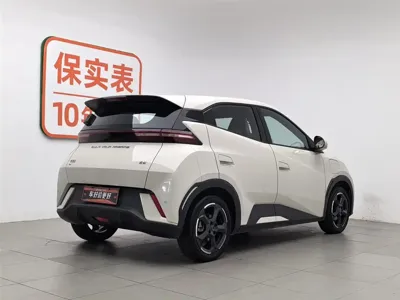 BYD Seagull