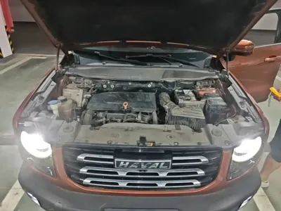 Haval Big Dog
