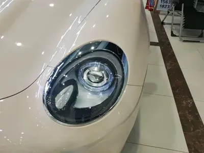 ORA Ora Good Cat