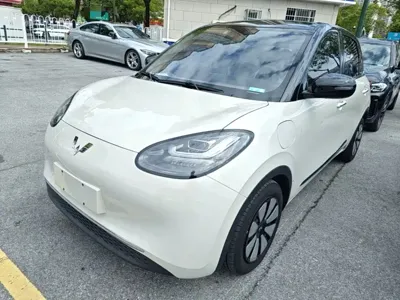 Wuling Bingo