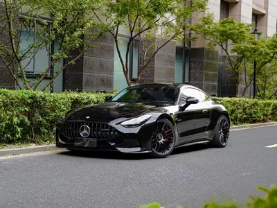 Mercedes-Benz AMG GT新能源