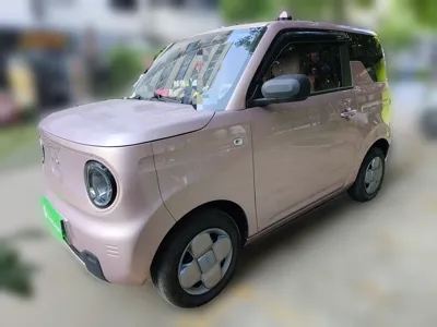 Geely Galaxy Panda