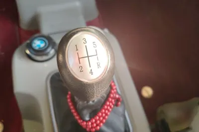 Forthing Lingzhi