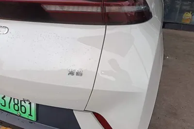 BYD Seagull