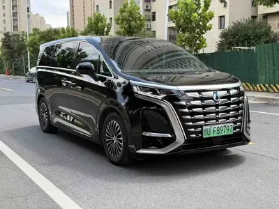 Denza Denza D9