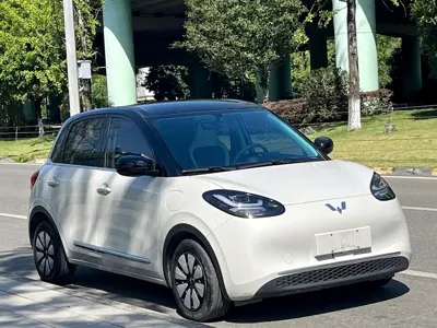 Wuling Bingo