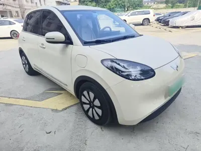 Wuling Bingo