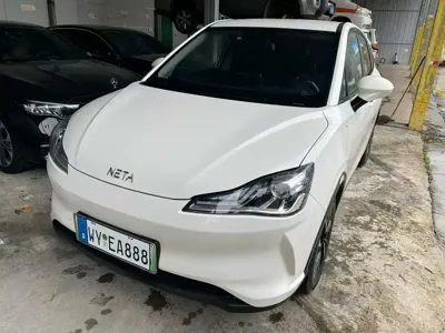 NETA Neta V