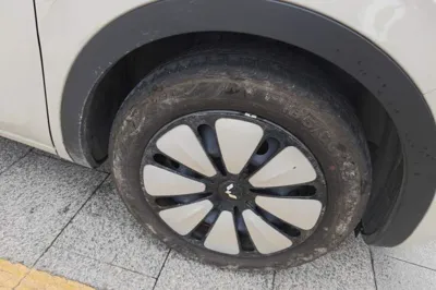 Wuling Bingo
