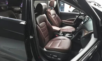 Hyundai Maxcruz