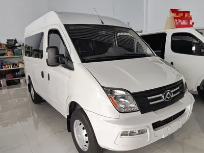 Maxus V80