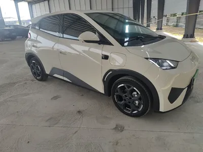 BYD Seagull
