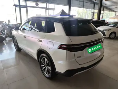 BYD Pro